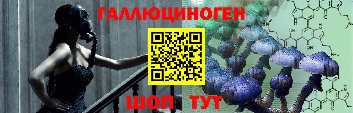Псилоцибиновые грибы Magic Shrooms  Вход с VPN  Кашира  Псилоцибиновые грибы прущие грибы 