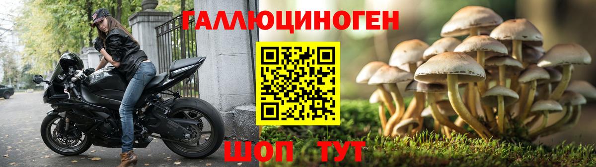 Галлюциногенные грибы мухоморы Кашира